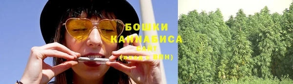 мяу мяу мука Михайлов
